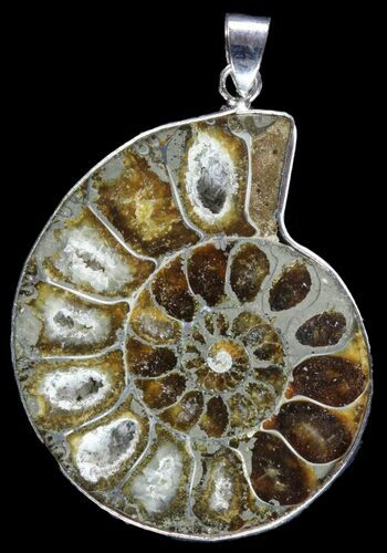 Fossil Ammonite Pendant - Million Years Old #89851